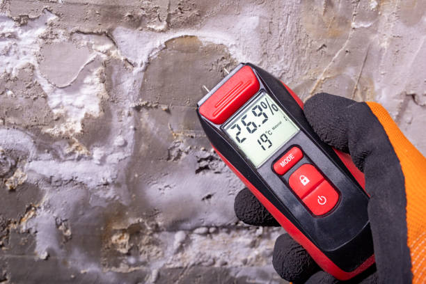 Best Residential Mold Remediation in Plattsburgh West, NY